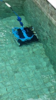 Robos para Piscina